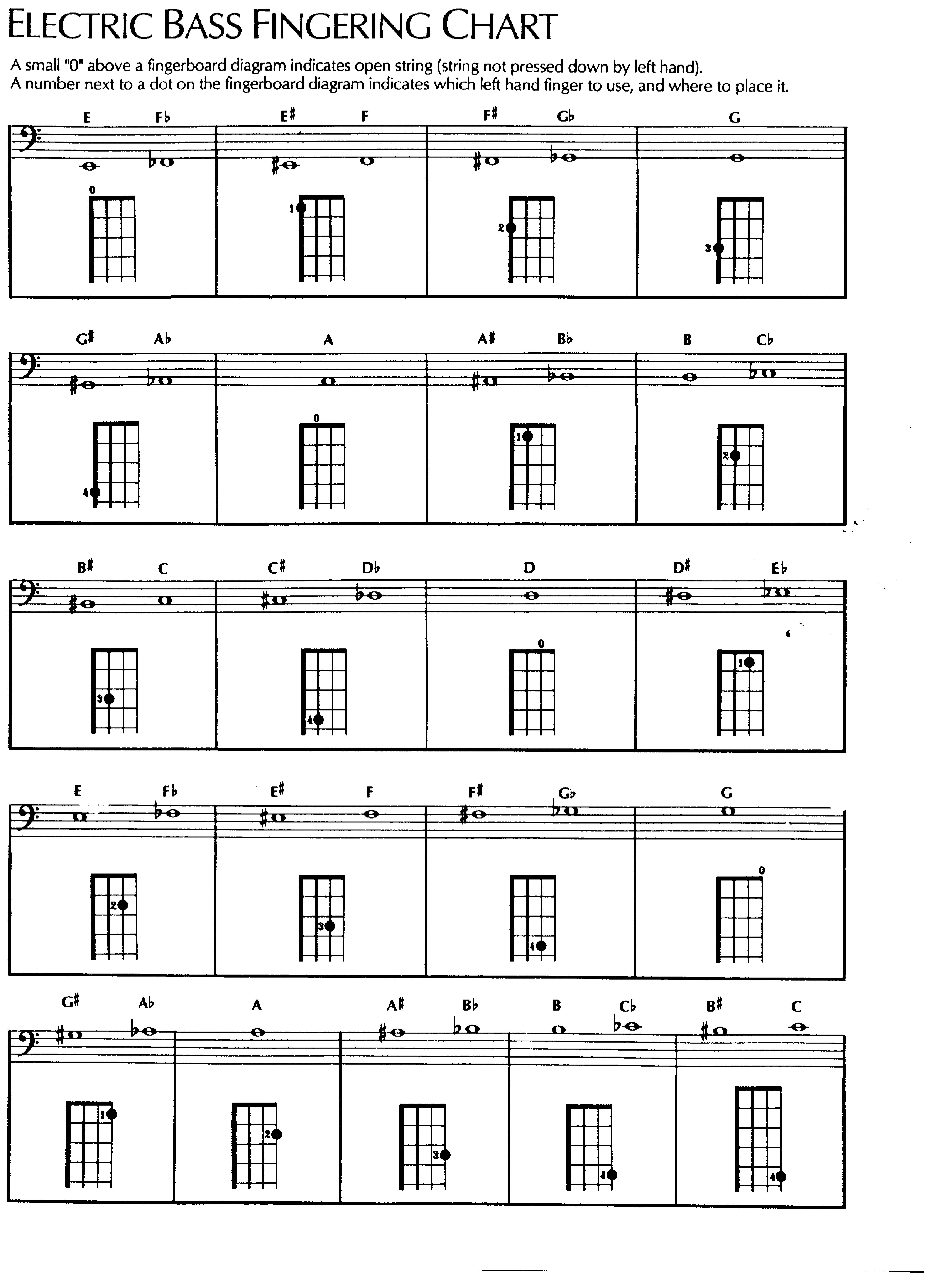 Mallet Percussion Note Chart